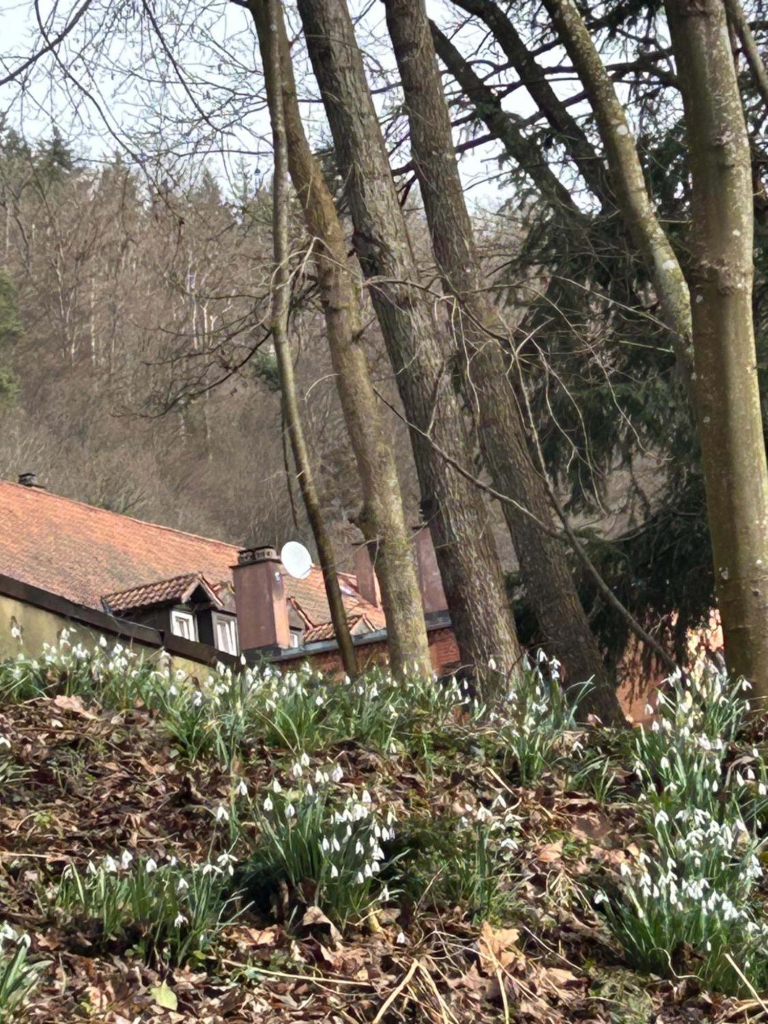 Villa Am Fluss Pforzheim Eksteriør billede