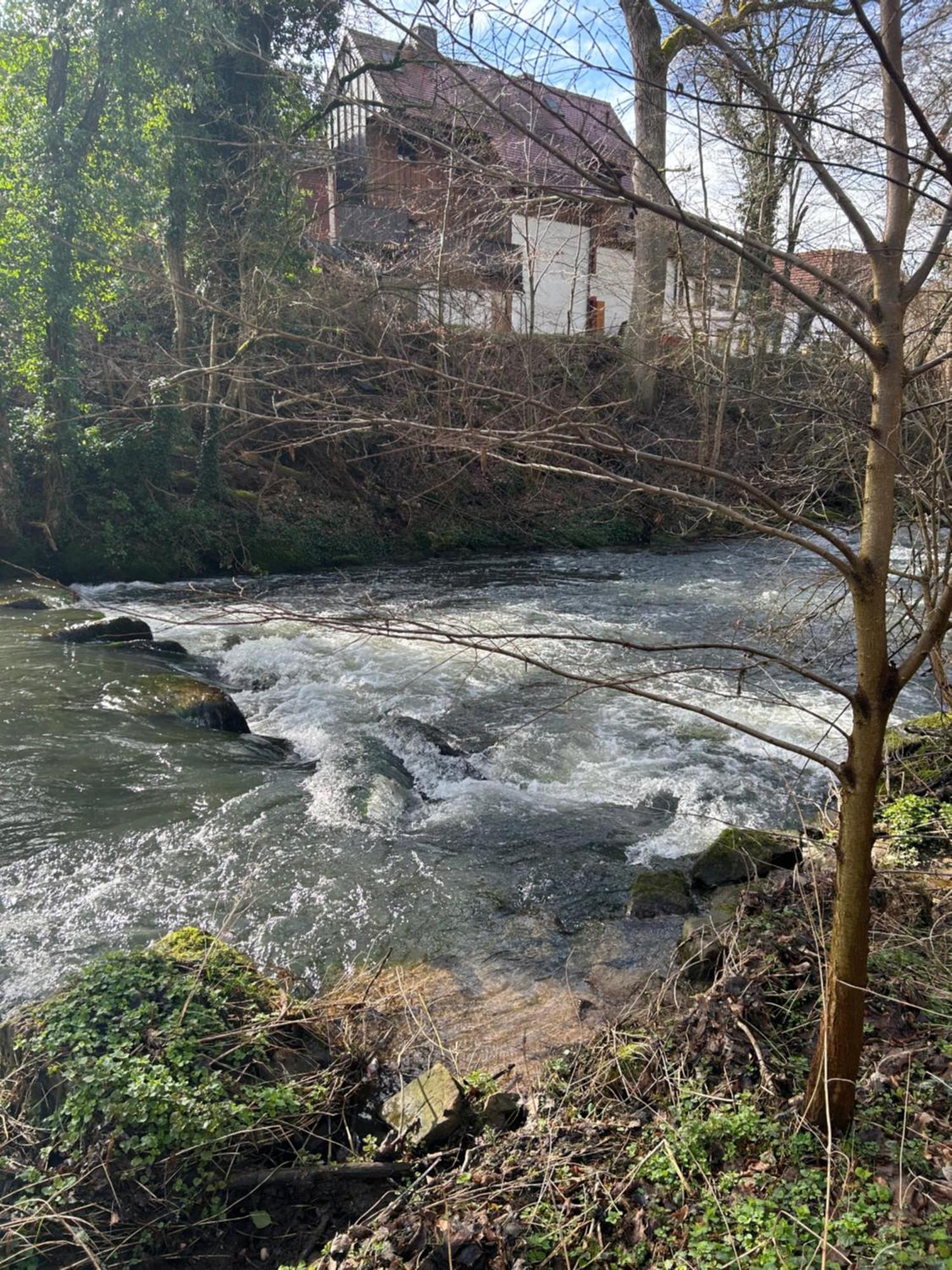 Villa Am Fluss Pforzheim Eksteriør billede