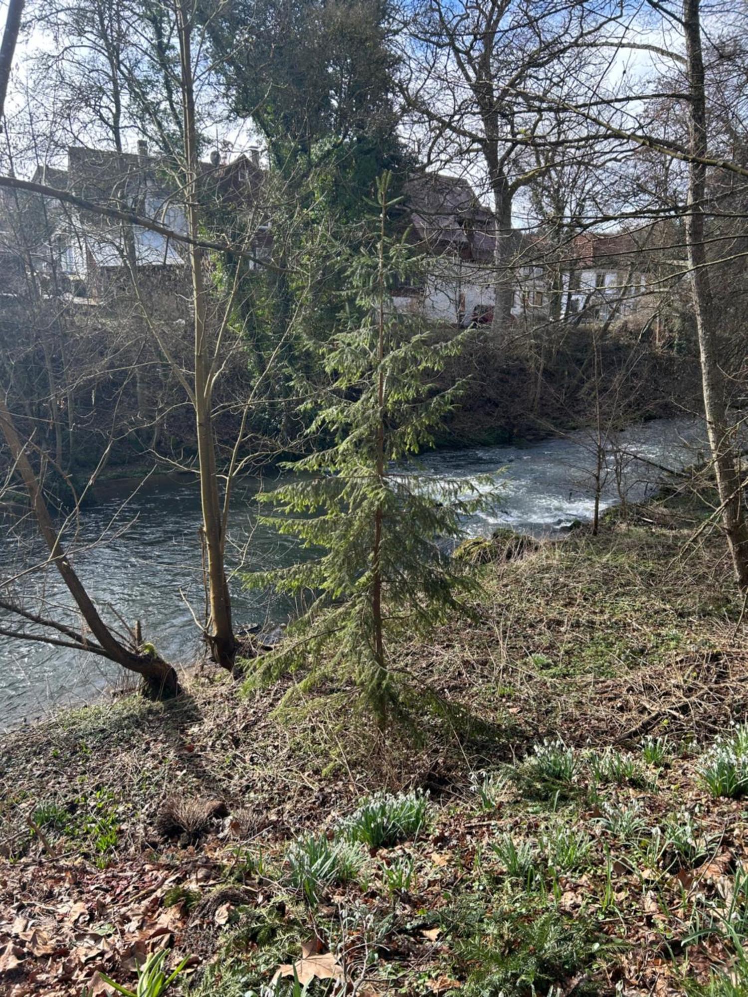 Villa Am Fluss Pforzheim Eksteriør billede